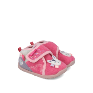 Biomecanics barefoot patofne
