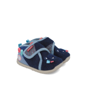 Biomecanics barefoot patofne